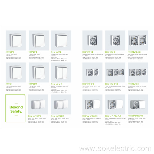 2Gang 1Way Switch With LED Indicator Surface Mounted